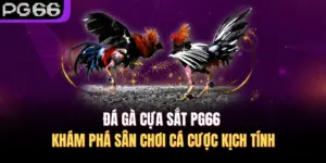 Đá Gà Cựa Sắt PG66 – Khám Phá Sân Chơi Cá Cược Kịch Tính