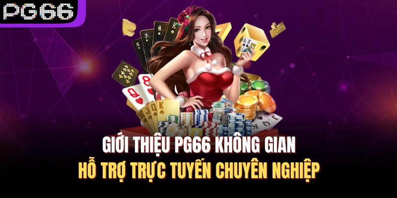 Giới thiệu PG66 không gian hỗ trợ trực tuyến chuyên nghiệp