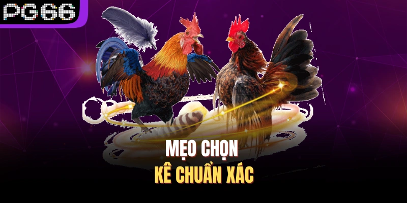 Mẹo chọn kê chuẩn xác
